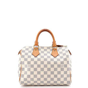 Louis Vuitton Speedy Handbag Damier 25 #229971L16B